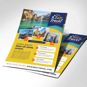 Pamphlet - Next Day Delivery